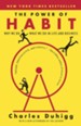 The Power of Habit: Why We Do What We Do in Life and Business</td