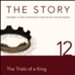 The Story, NIV: Chapter 12 - The Trials of a King - Special edition Audiobook [Download]