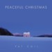 My Favorite Things (Peaceful Christmas Album Version) [Music Download]