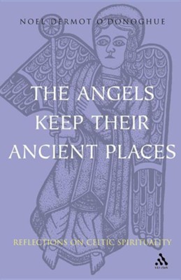Angels Keep Their Ancient Places: Reflections on Celtic Spirituality  -     By: Noel O'Donoghue
