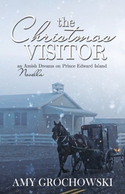 The Christmas Visitor  -     By: Amy Grochowski
