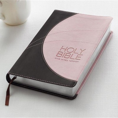 KJV Holy Bible, Giant Print Standard Size Faux Leather Red Letter Edition - Ribbon Marker, King James Version, Pink [Book]