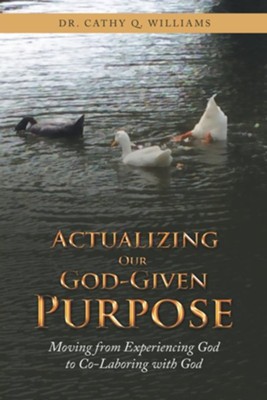 Actualizing Our God-Given Purpose: Moving from Experiencing God to Co-Laboring with God  -     By: Dr. Cathy Q. Williams
