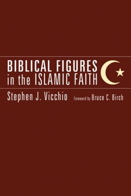 Biblical Figures in the Islamic Faith  -     By: Stephen J. Vicchio
