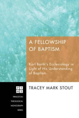 A Fellowship of Baptism  -     By: Tracey Mark Stout
