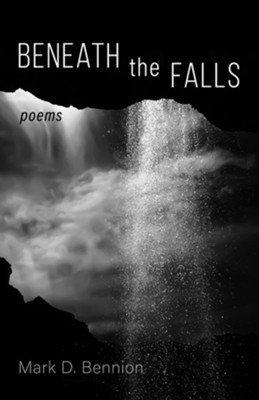 Beneath the Falls  -     By: Mark D. Bennion
