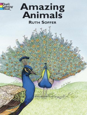 Amazing Animals Coloring Book  -     By: Ruth Soffer
