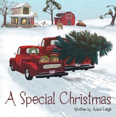 A Special Christmas  -     By: Anina Leigh
