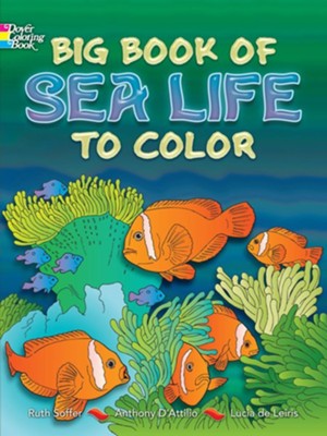 Big Book of Sea Life to Color  -     By: Ruth Soffer, Anthony D'Attilio, Lucia de Leiris
