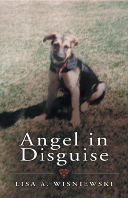 Angel in Disguise  -     By: Lisa A. Wisniewski
