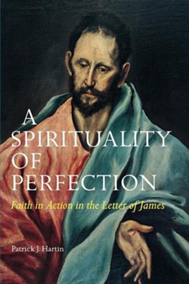 A Spirituality of Perfection   -     By: Patrick J. Hartin
