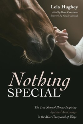 Nothing Special: Edited By: Kent Goodman By: Leia Hughey: 9781532675027 ...