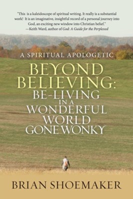 Beyond Believing: Be-Living in a Wonderful World Gone Wonky: A Spiritual Apologetic  -     By: Brian Shoemaker
