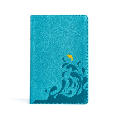 CSB Easy-for-Me Bible for Early Readers--soft leather-look, aqua blue ...