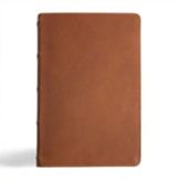 CSB Men's Daily Bible, Brown Genuine  Leather--indexed
