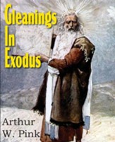 Gleanings in Exodus