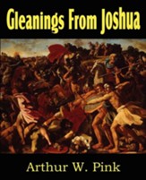 Gleanings from Joshua