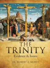 The Trinity: Evidence & Issues [Hardcover]