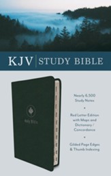 KJV Study Bible--imitation leather,  evergreen (indexed)