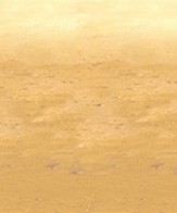 Desert Sand Plastic Backdrop (30' x 4')