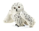 God's Wonder Lab: Ozzy the Snowy Owl Puppet