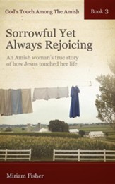 God's Touch Among the Amish Book 3