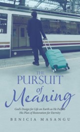 The Pursuit of Meaning: God's Design for Life on Earth as He Fulfills His Plan of Restoration for Eternity
