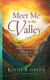 Meet Me in the Valley: Walking with God Through the Low Places in Life