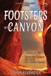 Fire in the Canyon and the Diary: A Footsteps in the Canyon Anthology
