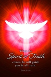 Spirit of Truth (John 16:13a, CEB) Bulletins, 100