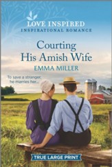Courting His Amish Wife