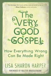 The Very Good Gospel: How Everything Wrong Can Be Made Right