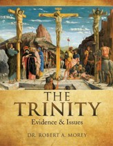 The Trinity: Evidence & Issues [Paperback]