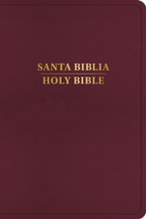 RVR 1960/KJV Biblia bilingue, borgona imitacion piel (Bilingual Bible)