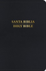 RVR 1960/KJV Biblia bilingue tamano  personal, negro imitacion piel (Personal Size Bilingual Bible)