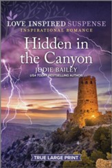 Hidden in the Canyon, Large Print