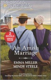 An Amish Marriage Reissue Edition