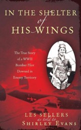 In the Shelter of His Wings: The True Story of a WWII Bomber Pilot Downed in Enemy Territory