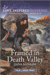 Framed in Death Valley - Large Print edition