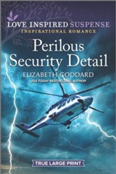 Perilous Security Detail - Large Print