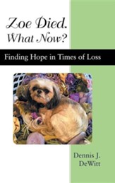 Zoe Died. What Now?: Finding Hope in Times of Loss