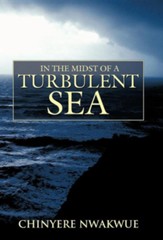 In the Midst of a Turbulent Sea