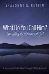 What Do You Call Him? Unveiling 160 Names of God: A Synopsis of God's Names through Biblical Accounts