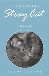 Lessons from a Stray Cat: A Devotional