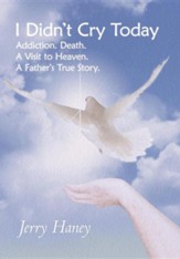 I Didn't Cry Today: Addiction. Death. a Visit to Heaven. a Father's True Story