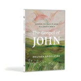 The Gospel of John, DVD Set: Savoring the Peace of Jesus in a Chaotic World