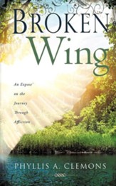 Broken-Wing: An Expose' on the Journey Through Affliction