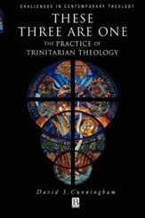 These Three Are One: The Practice of Trinitarian Theology