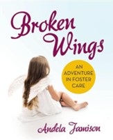 Broken Wings: An Adventure in Foster Care