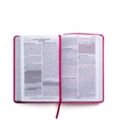 RVR60 Biblia de promesas - Tamaño manual- Edición fucsia imitación piel
